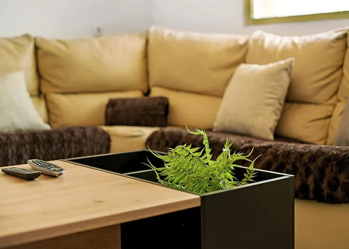 Pico The View * Ribeira Brava